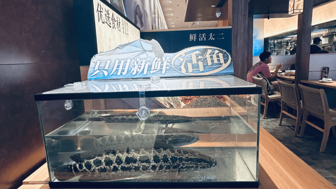爆改太二酸菜鱼从涨价开始